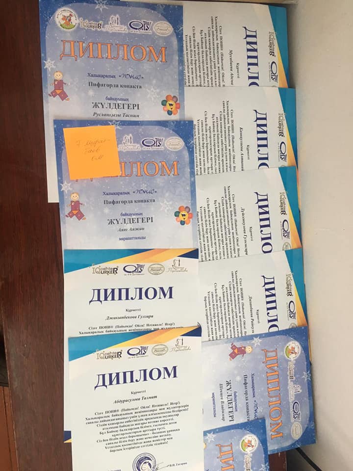 "Пони" байқауы